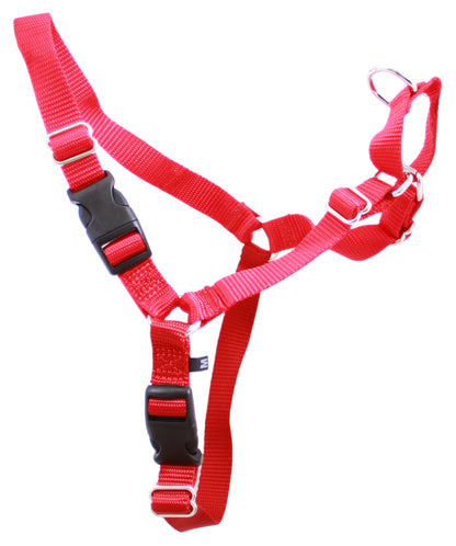 Red Beau Pets Gentle Leader Harness fitted on a medium dog