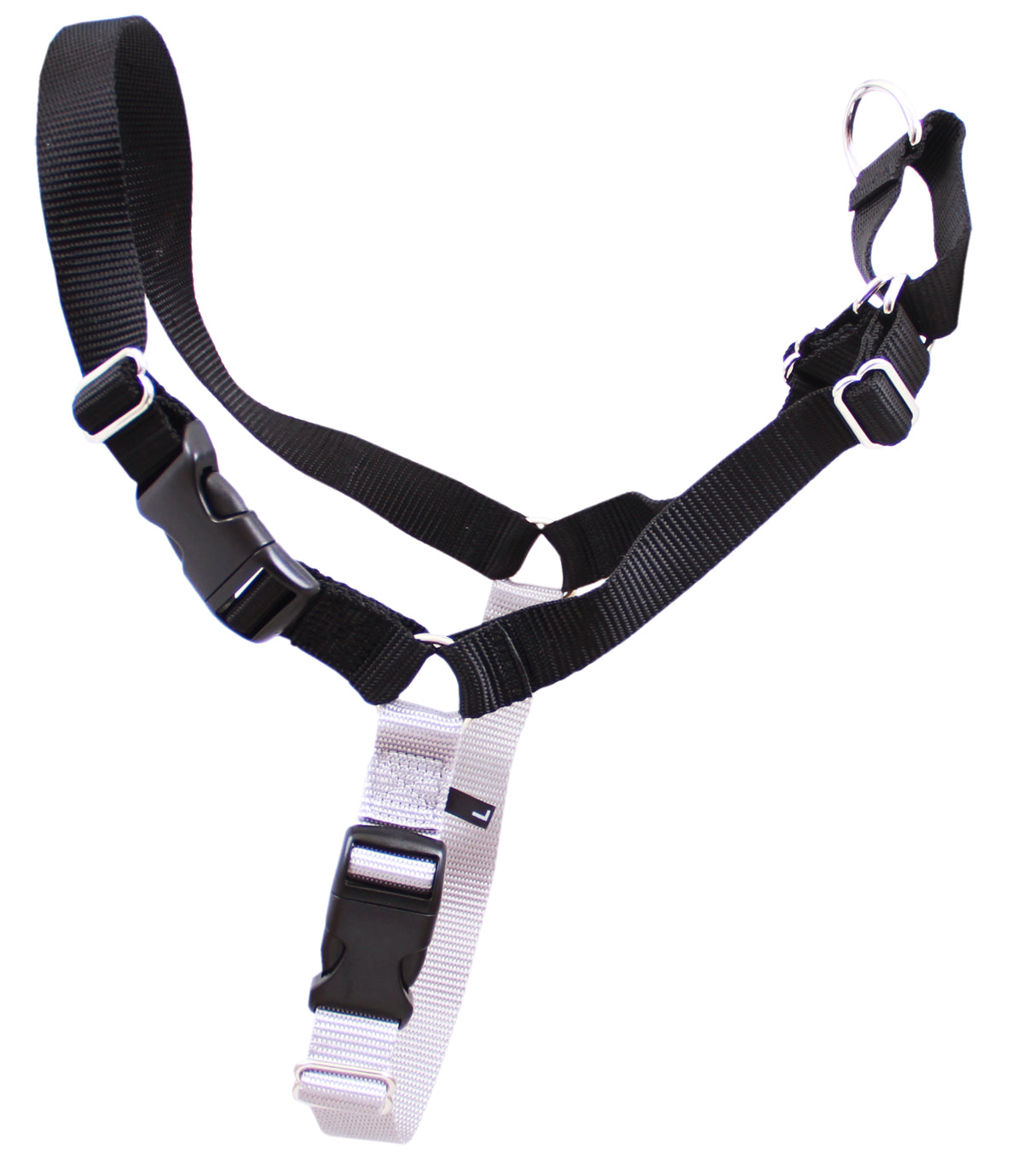 Black Beau Pets Gentle Leader Harness fitted on a large dog