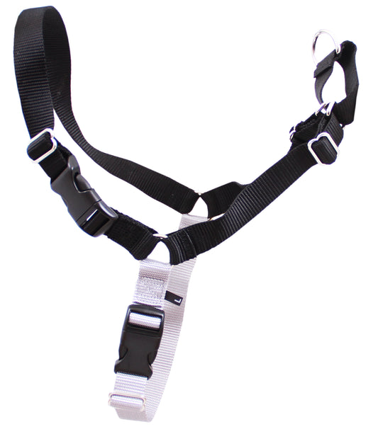 Black Beau Pets Gentle Leader Harness fitted on a large dog
