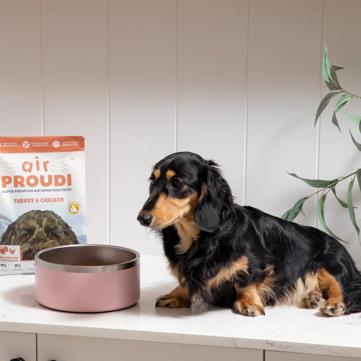 Proudi - Air Dried Dog Food Turkey & Chicken Super Premium Complete Meal