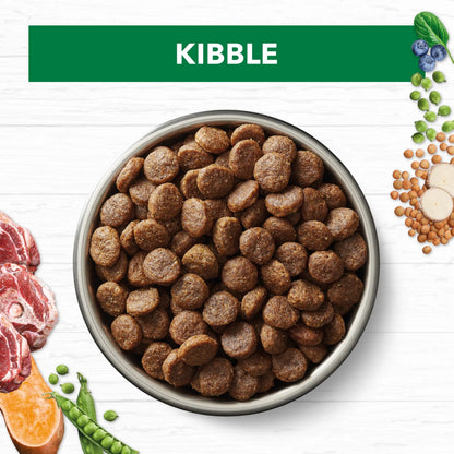Adult Dog Food -  Large Breed – GRAIN FREE – Lamb