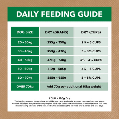 Adult Dog Food -  Large Breed – GRAIN FREE – Lamb