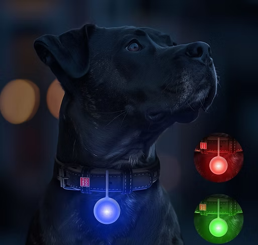 WAUDOG LED Dog Light – Rechargeable RGB Safety Light