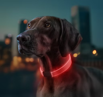WAUDOG LED Collar - Rechargeable RGB Light-Up Dog Collar for Night Safety product image 7