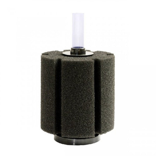 Close-up of the Pet Worx Aquarium Sponge Filter foam head