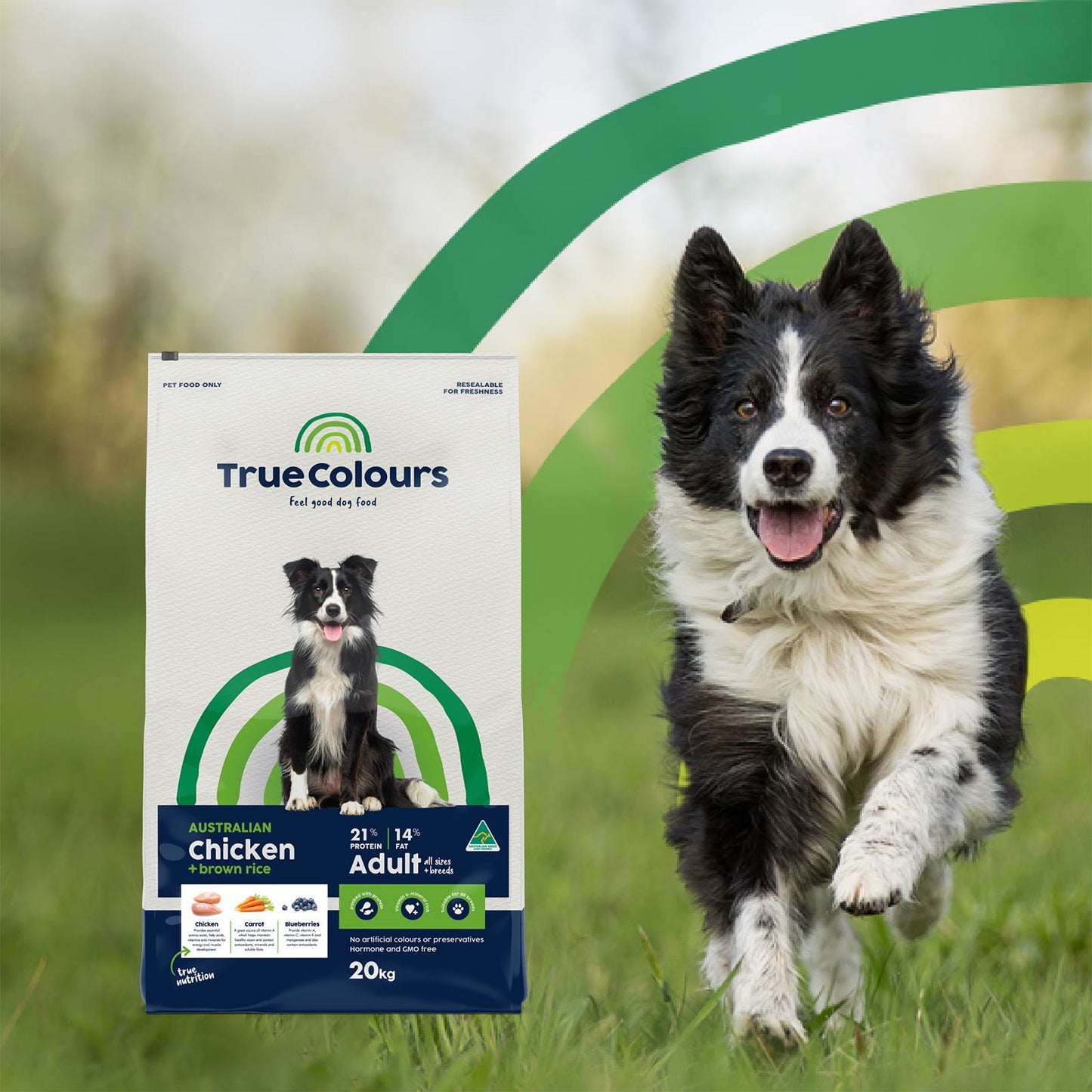 Adult Dog - Australian Chicken + Brown Rice product image 4