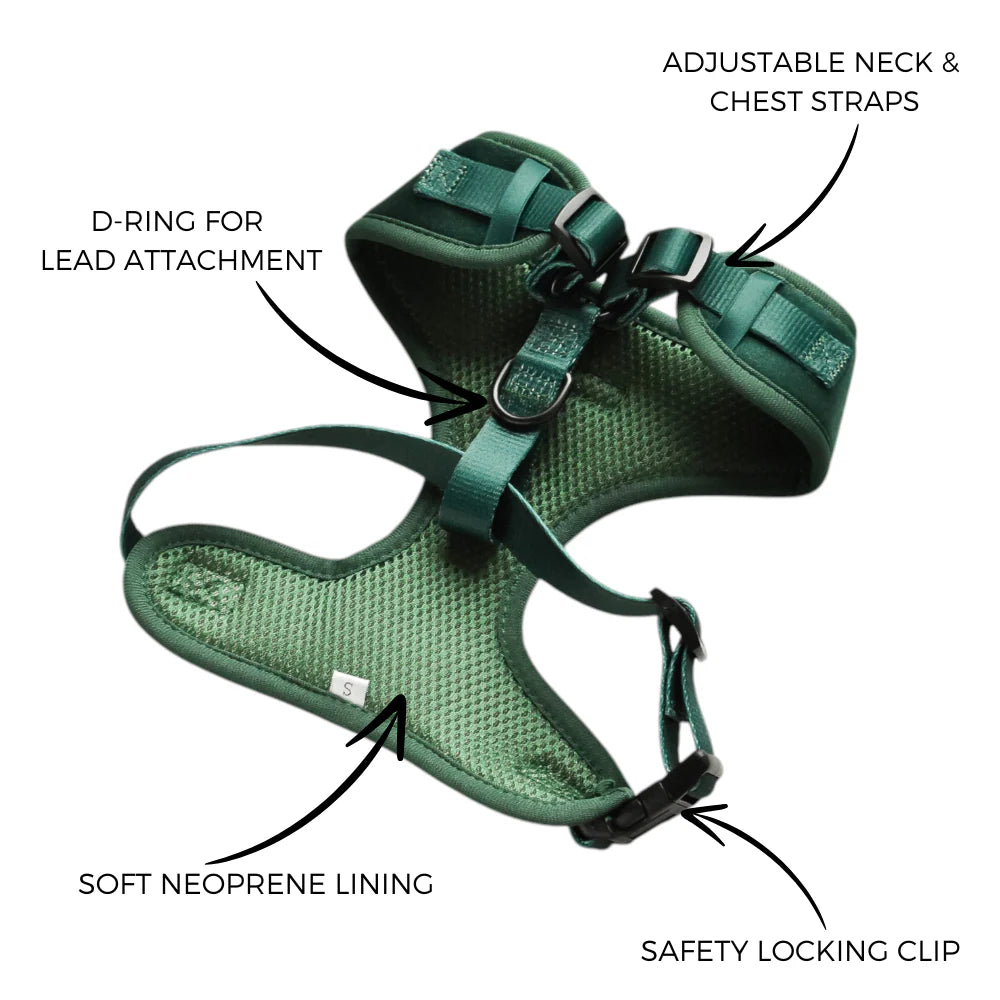 Cocopup London – LUXE Adjustable Neck Harness – Forest Green Velvet