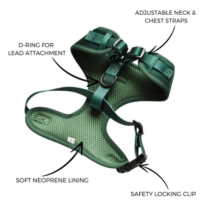 Cocopup London – LUXE Adjustable Neck Harness – Forest Green Velvet