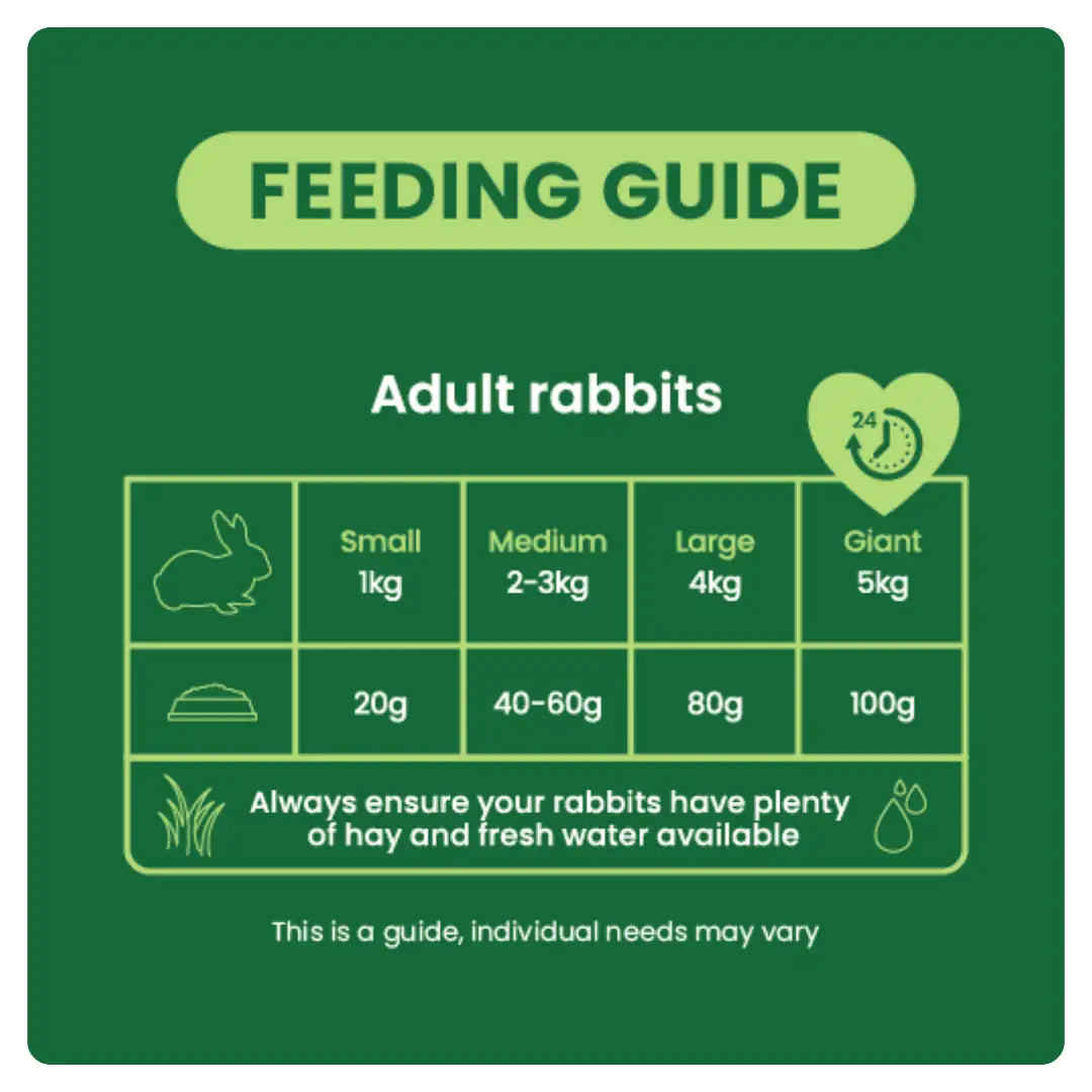 Adult-Mint-Feeding-Guide