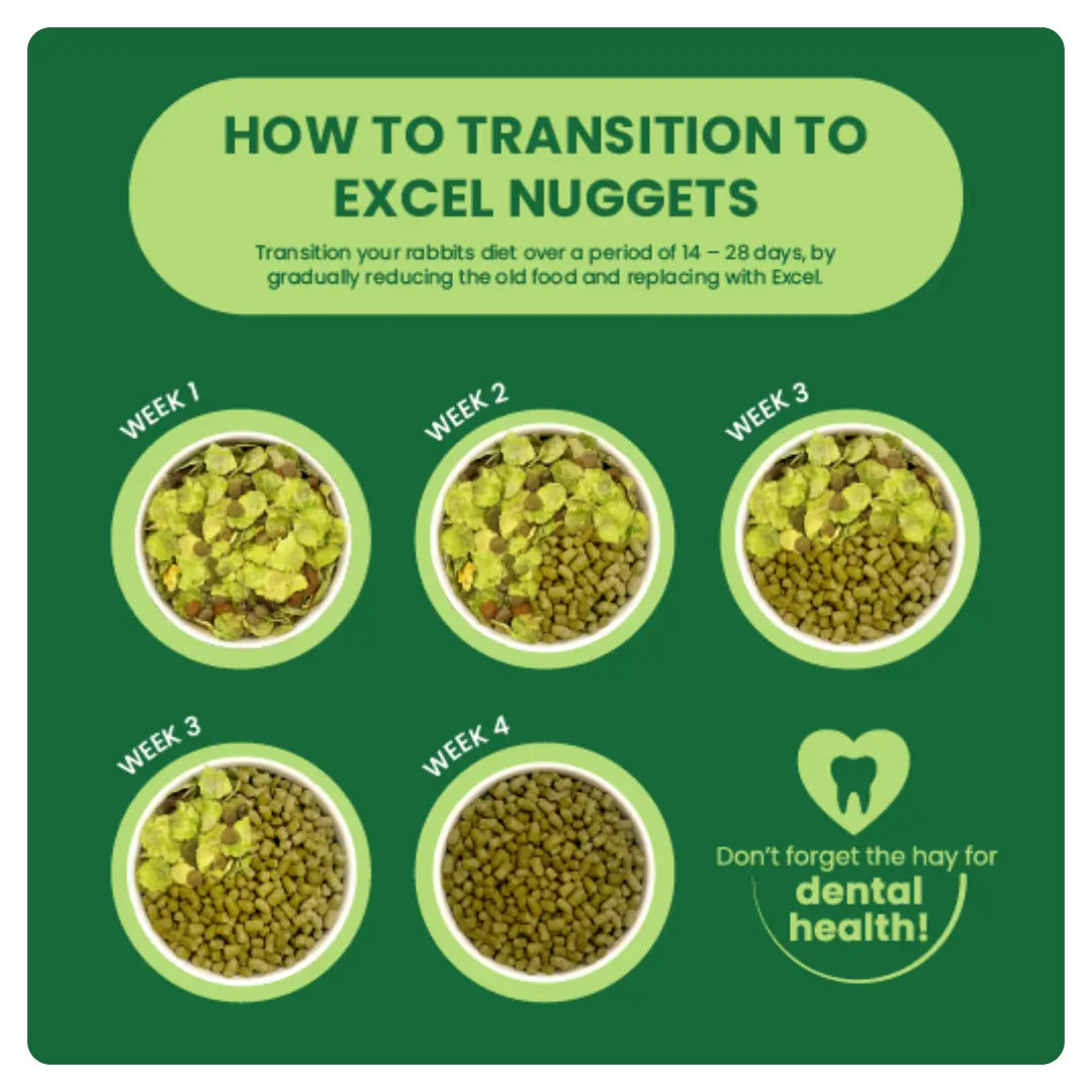 Adult-Mint-Transition-Graphic