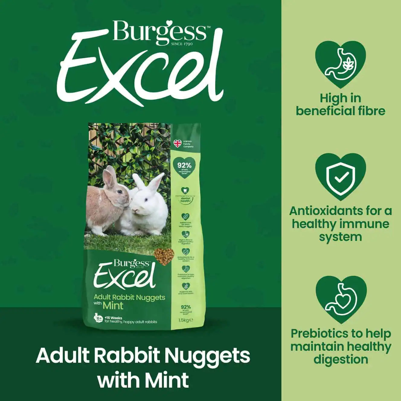 Adult_Rabbit_Mint_Nuggets