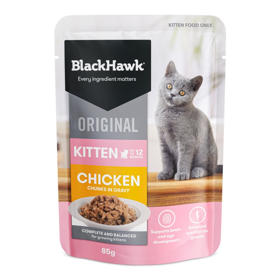 Black Hawk Kitten Chicken in Gravy pouch, front of pack