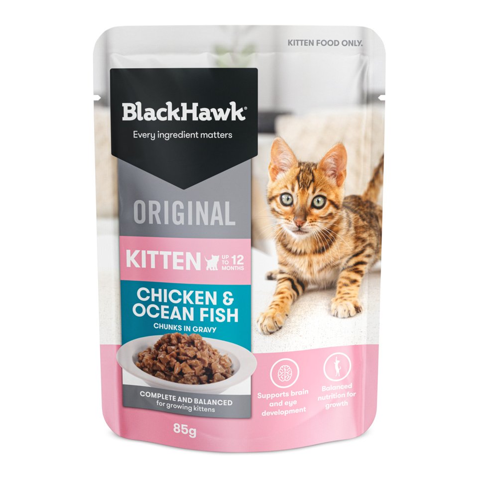 Black Hawk Kitten Chicken and Ocean Fish in Gravy pouch, front label