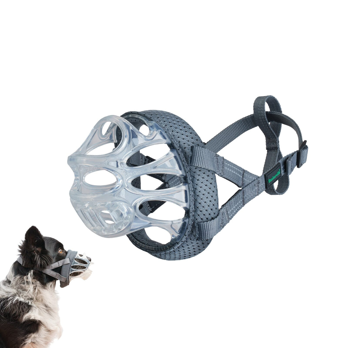 Company of Animals Baskerville INVISA clear basket dog muzzle