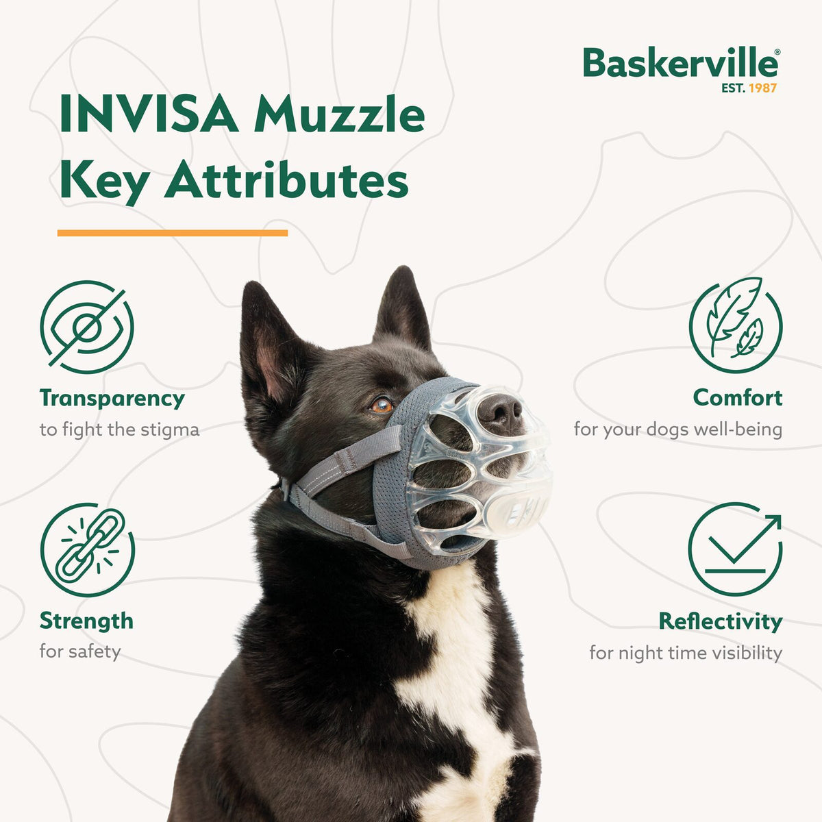 Dog wearing Baskerville INVISA clear basket muzzle