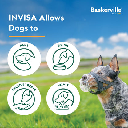 Baskerville INVISA dog muzzle features