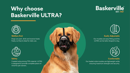 Dog wearing Baskerville Ultra Muzzle outdoors