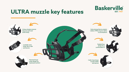 Baskerville Ultra Muzzle fitted on a dog