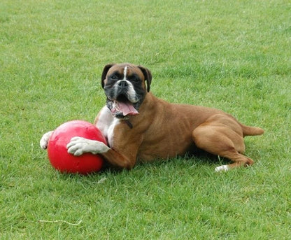 Boomer Ball - The Ultimate Indestructible Dog Toy product image 3