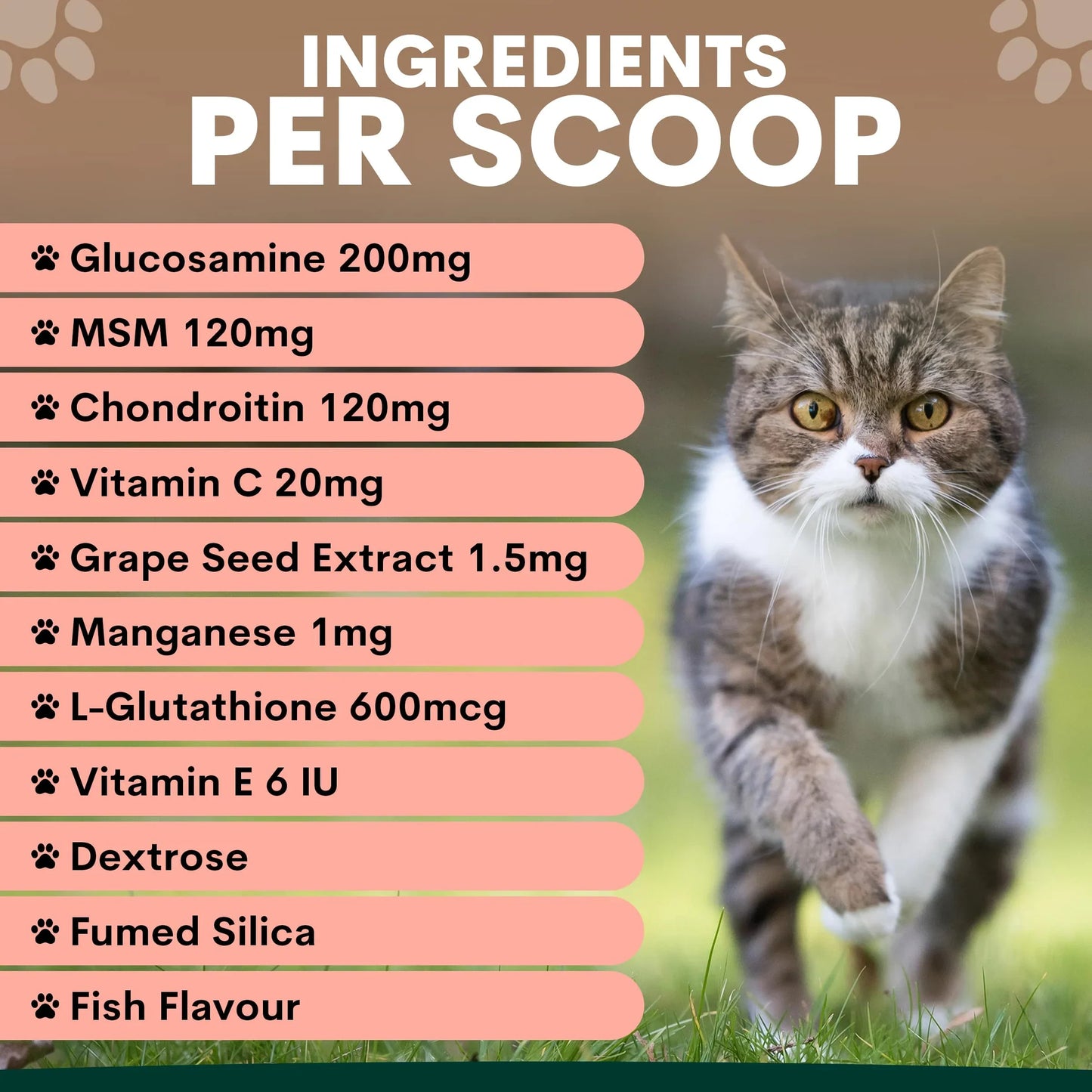 PetzPark – Hip + Joint – For Cats