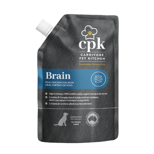 CPK_WHITECAPS_NO_BGs_BRAIN_FRONT