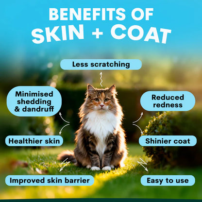 PetzPark Skin + Coat benefits infographic
