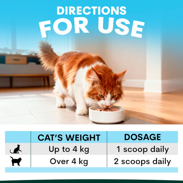 PetzPark Skin + Coat dosage guide for cats