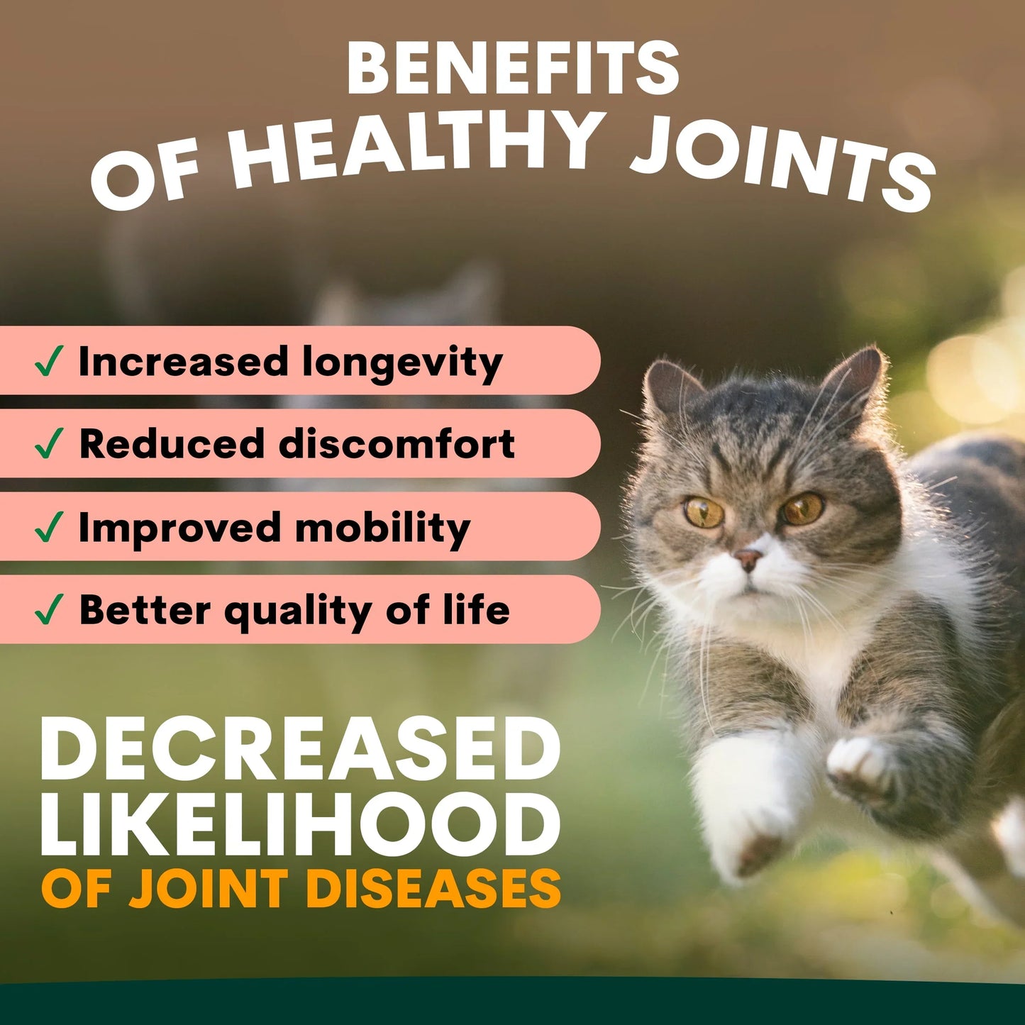 PetzPark – Hip + Joint – For Cats