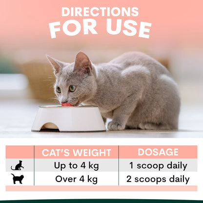 PetzPark – Hip + Joint – For Cats