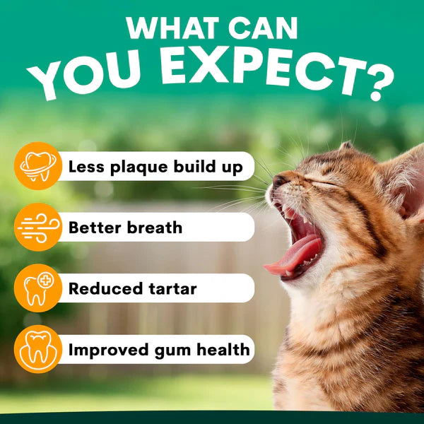 PetzPark - Plaque Control - For Cats product image 6