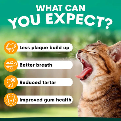 PetzPark - Plaque Control - For Cats product image 6
