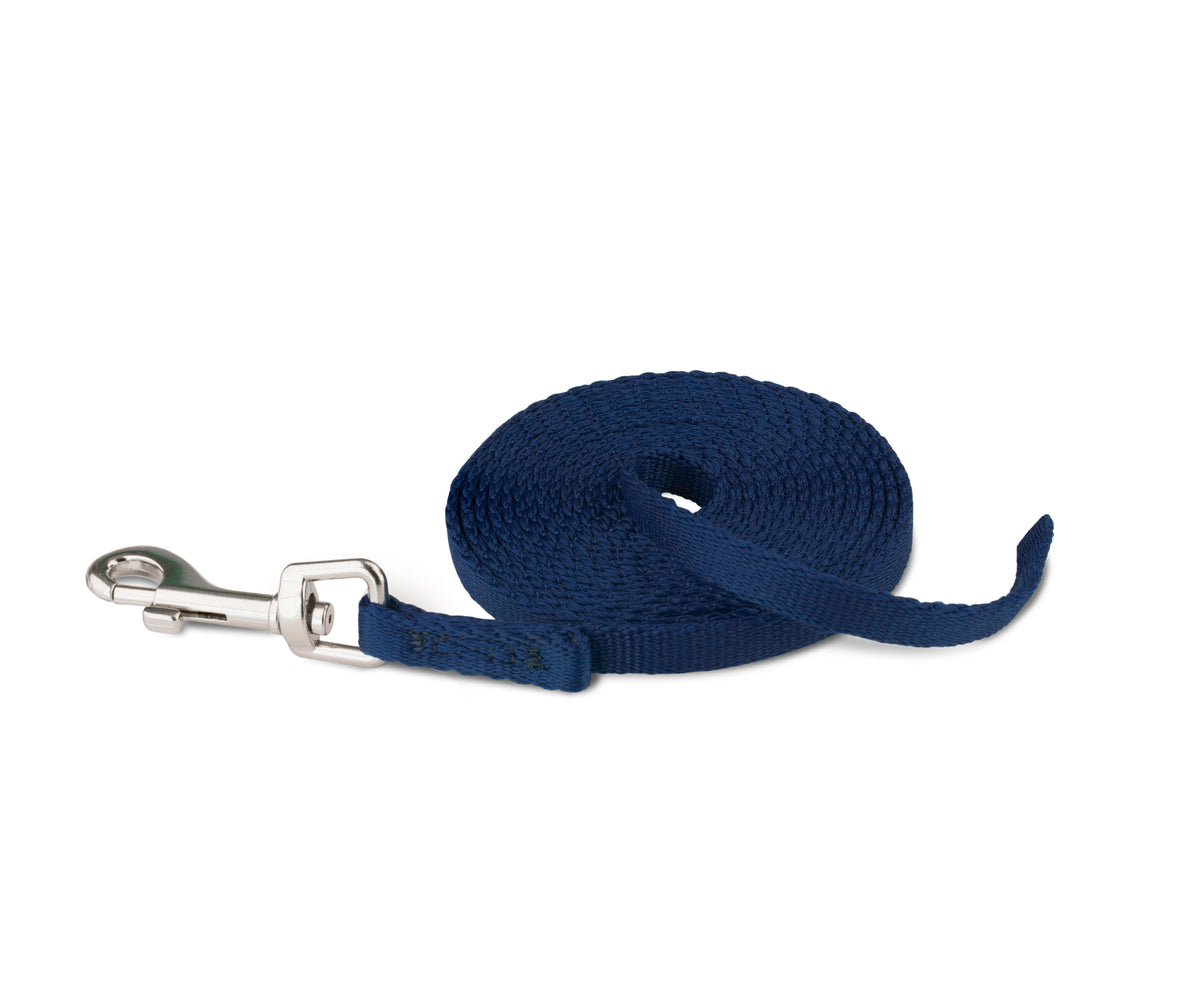 Puppy attached to Coachi training line during recall practice