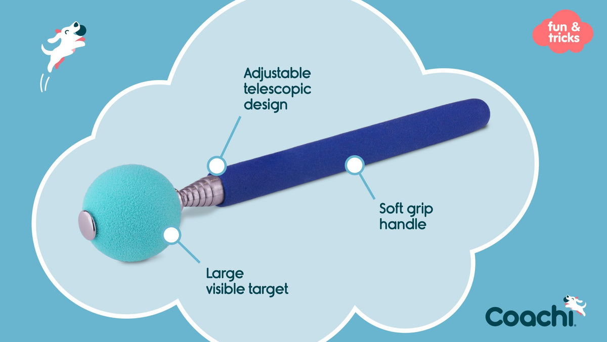 Coachi Target Stick packaging