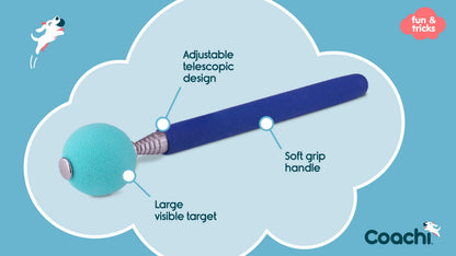 Coachi Target Stick packaging