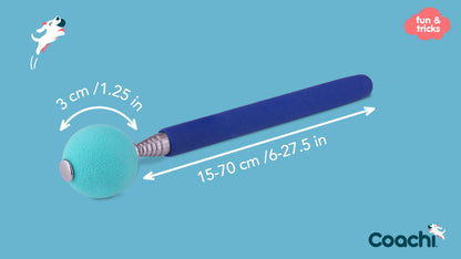 Coachi Target Stick product detail view