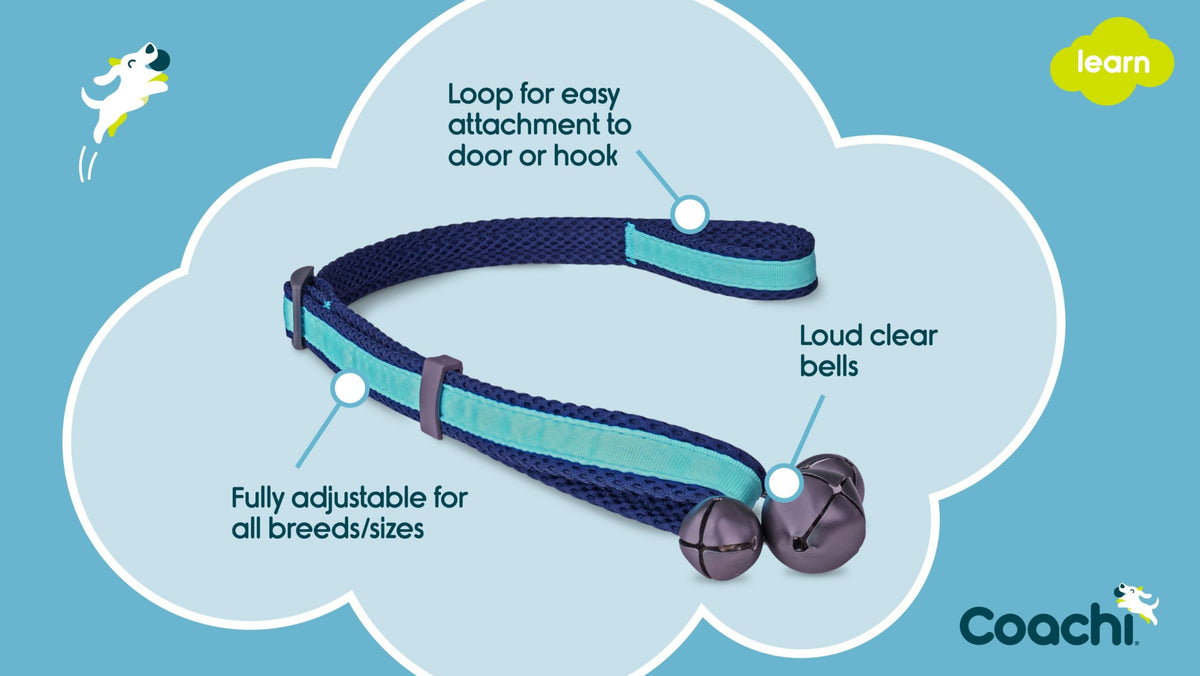 Coachi Toilet Training Bells shown in use during training