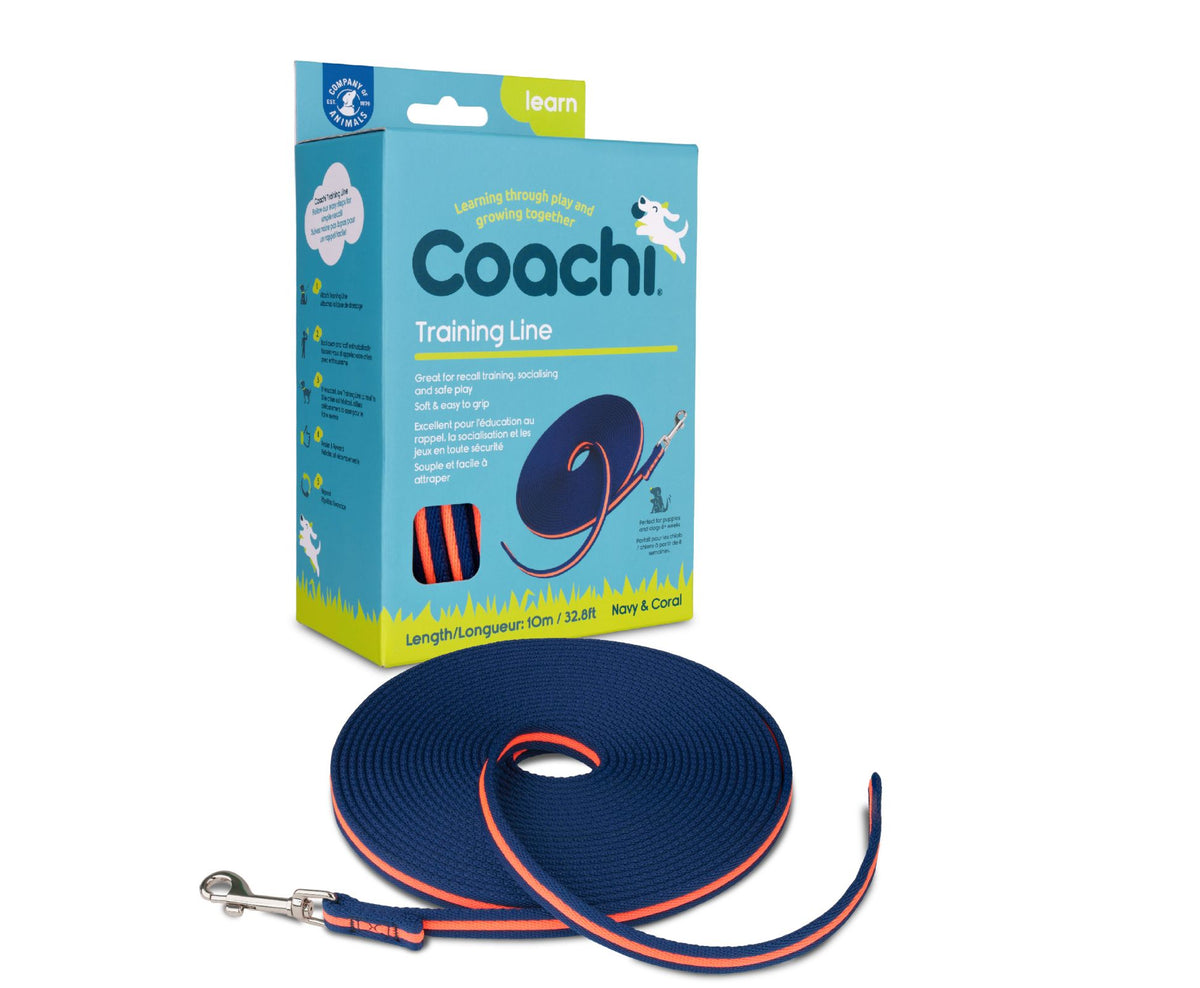 Dog wearing Coachi navy and coral training line