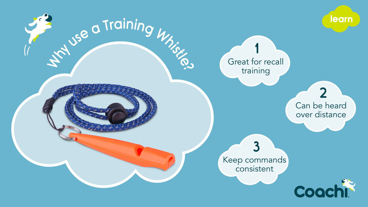 Coachi dog training whistle in coral