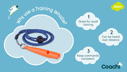 Coachi dog training whistle in coral
