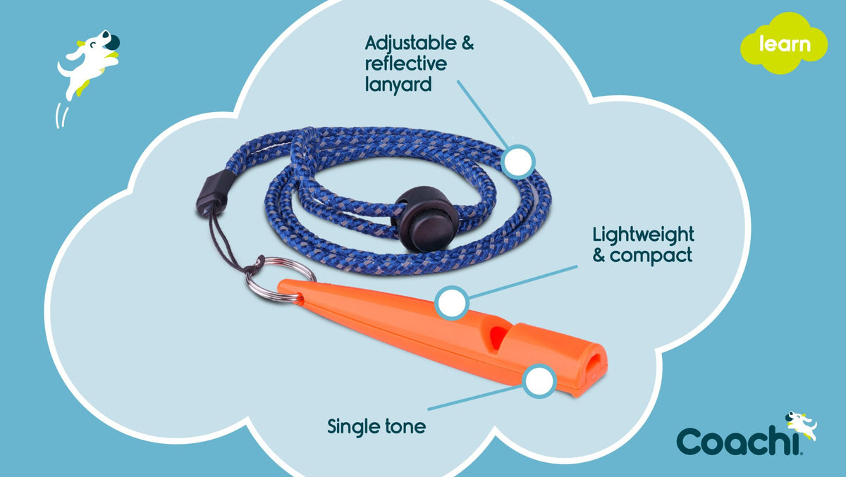 Coachi training whistle coral side view