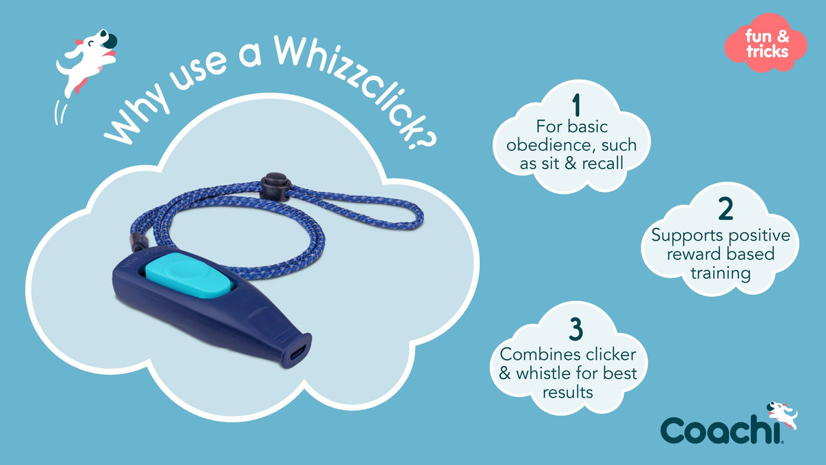 Coachi Whizzclick clicker navy close-up
