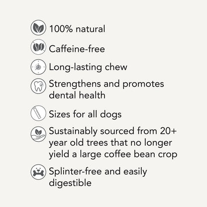 Dan & Sam – Natural Coffee Wood Chew