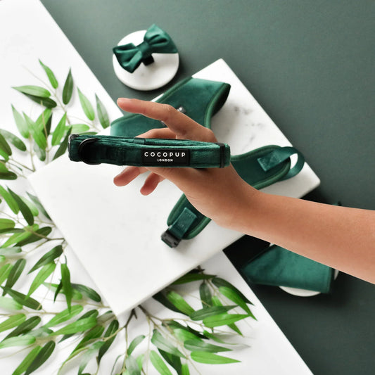 LUXE Dog Collar – Forest Green Velvet