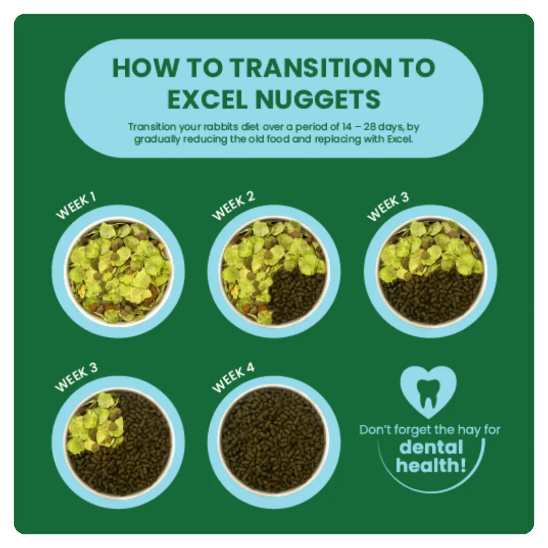 Drawf-Transition-Graphic