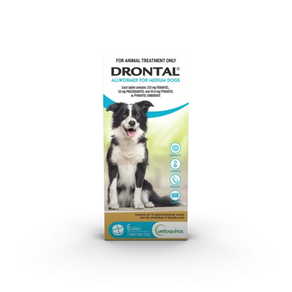 Drontal Allwormer for Medium Dogs