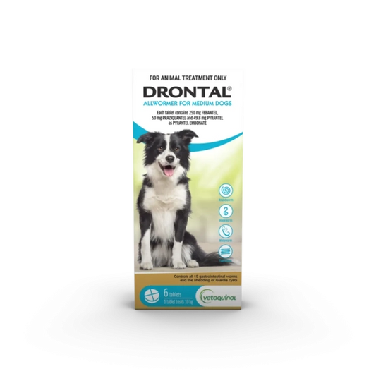 Drontal Allwormer for Medium Dogs