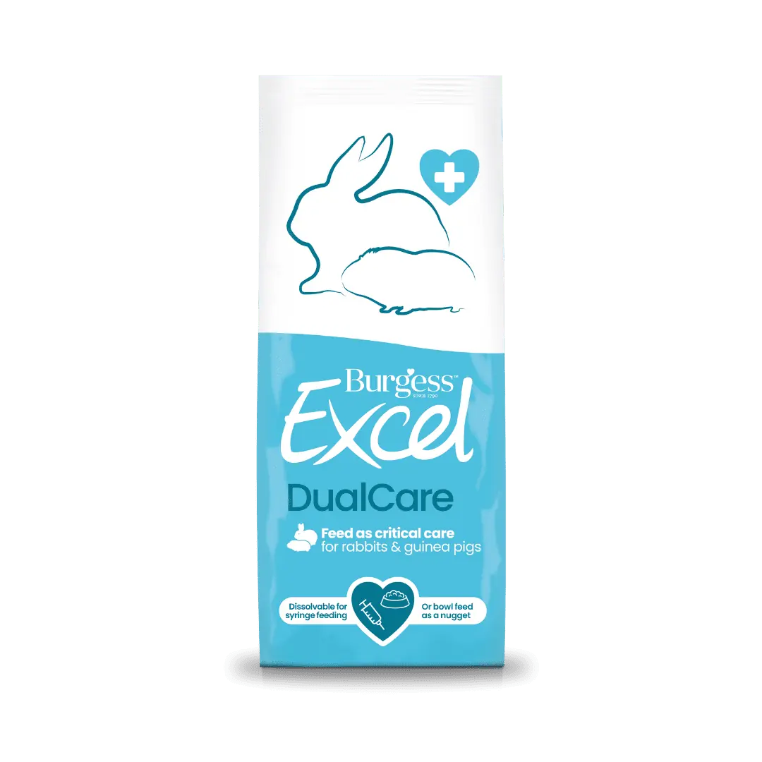 Dual-Care-Sachet-1