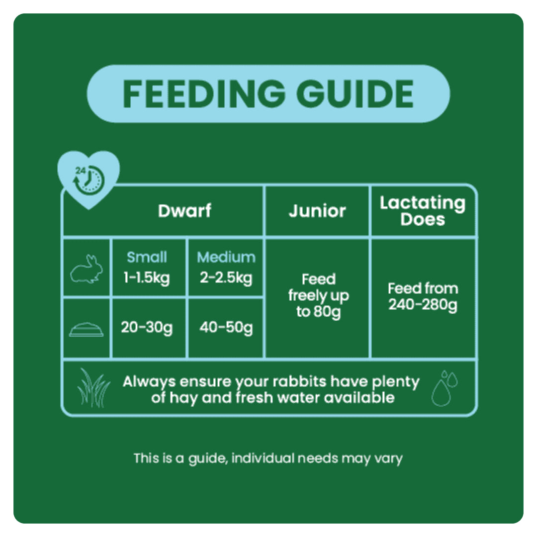 Dwarf-Feeding-Guide