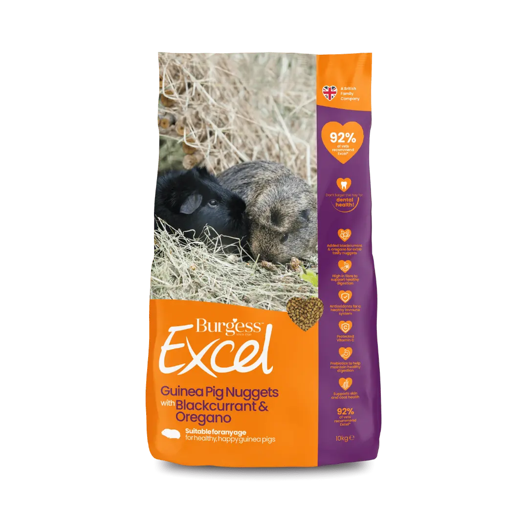 Excel-Guinea-Pig-BO-10kg-1