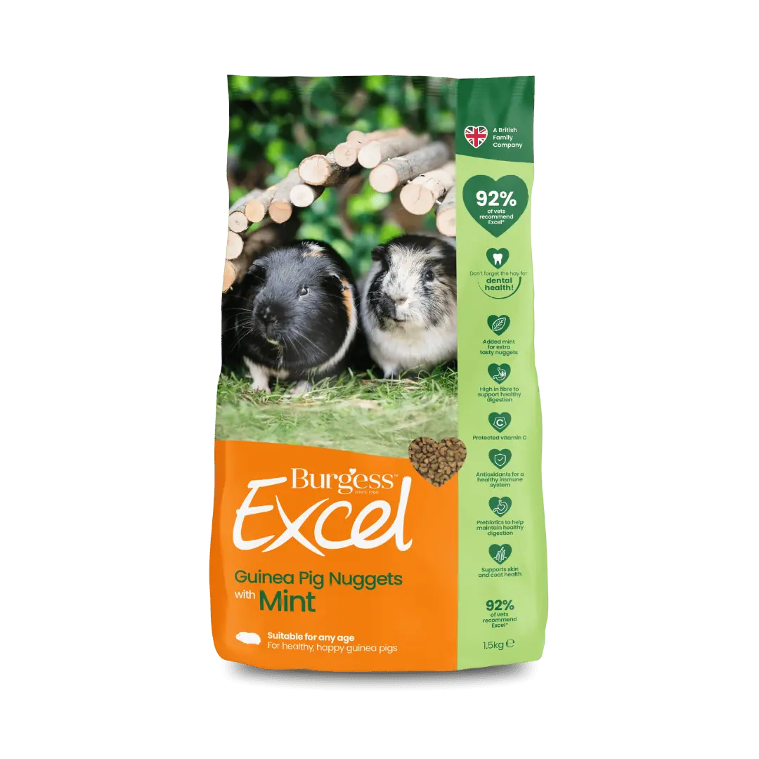 Excel-Guinea-Pig-Mint-1.5kg-1